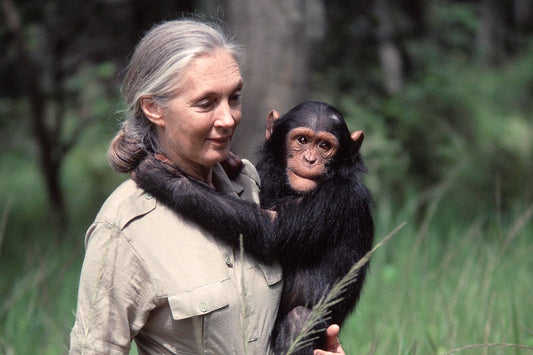 Jane Goodall Remembered: A Soul’s Blueprint in Akara Numerology