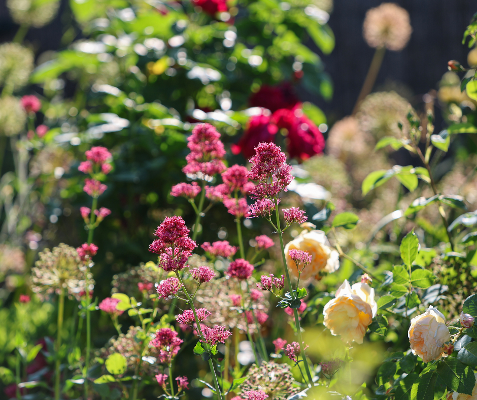 The Secret to Growth That No One Talks About