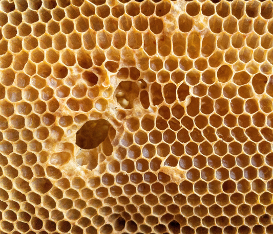 The One Habit That Turns Overwhelm into Mastery