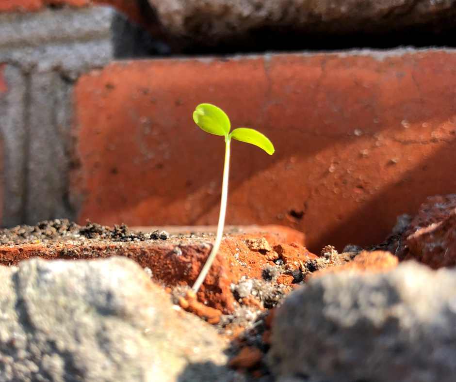 The Lesson on Power That Nature Teaches Every Day