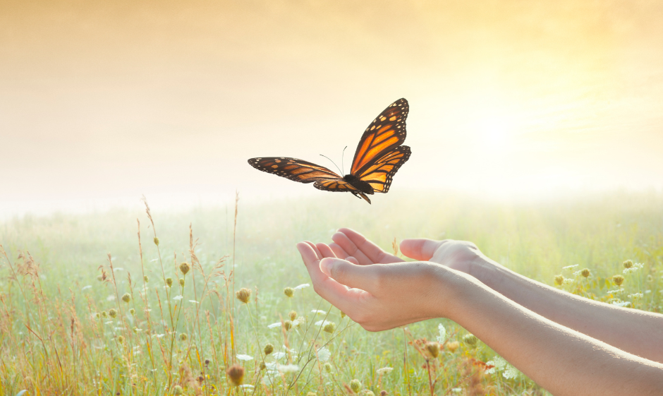 The Fire & the River: A Story of Anger and Release