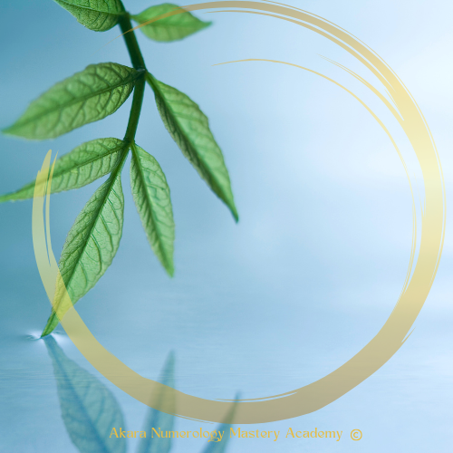 The Day She Finally Let Go – A Story of Inner Peace and Spiritual Clarity in September