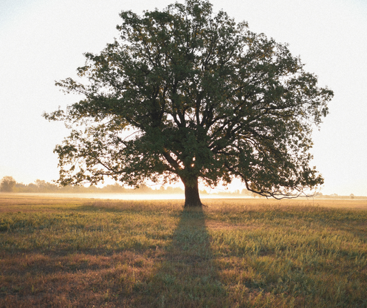 Why Some People Flow with Change and Others Struggle