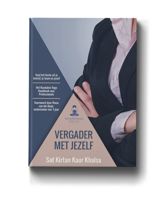 e-book Bye Bye Stress in nine minutes or less - Dutch Vergader met Jezelf