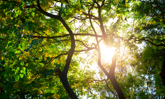 Stop Over-Explaining—Start Resonating: Why clarity isn’t about more words