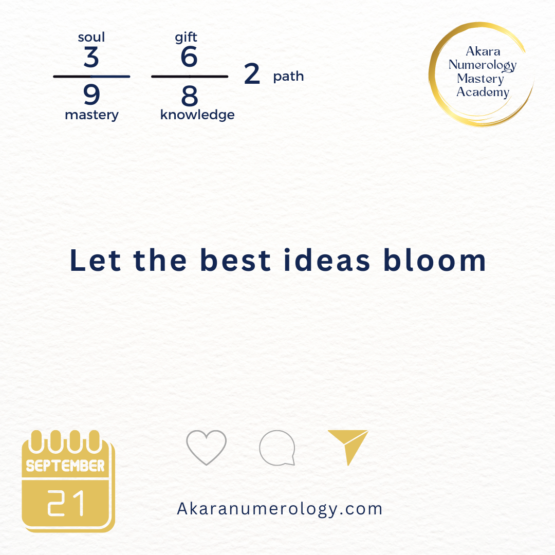 September 21st 2024: Let the best idea's bloom