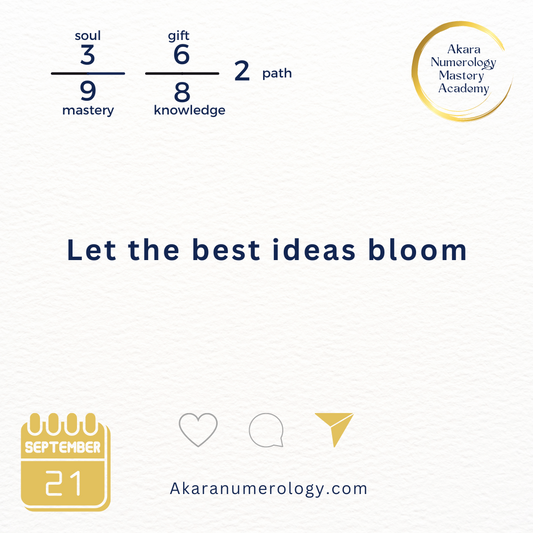 September 21st 2024: Let the best idea's bloom