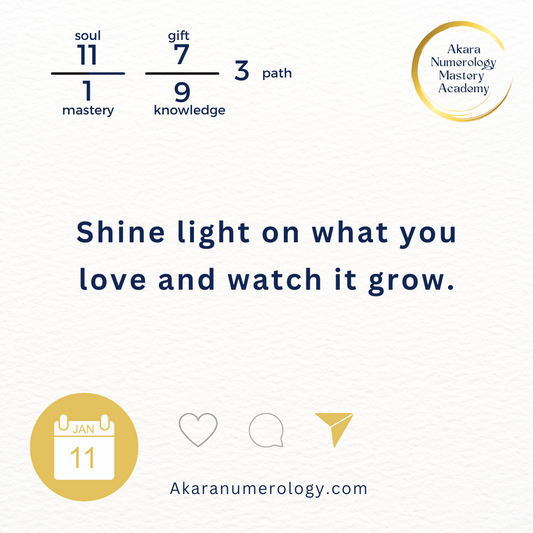January 11th 2025 Shine light on what you love and watch it grow.