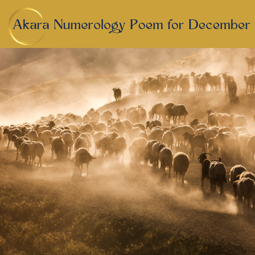 December Poem — The Shepherd of Light: Compassion, Courage & Conscious Presence