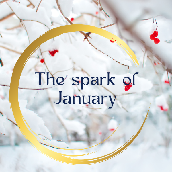 ✨ The Spark of January ✨