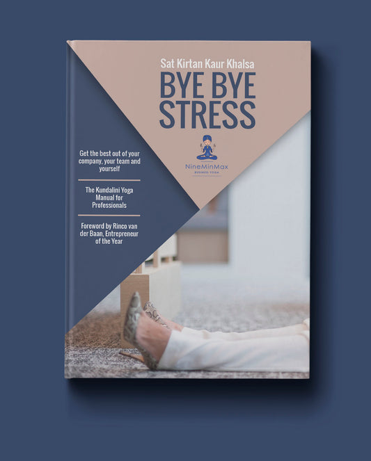e-book Bye Bye Stress in Nine Minutes or Less