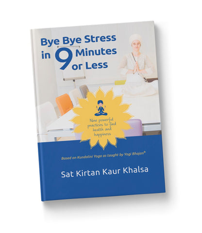 e-book Bye Bye Stress in Nine Minutes or Less